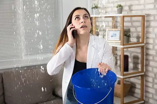 water damage restoration service Hollytree
